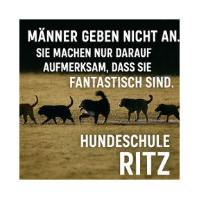 Viele Hunde ziehen in einer langen Karawane hintereinander über eine Hundewiese in Bonn. 