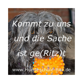 Komm zur Hundeschule Ritz und die Sache ist geritzt :-)