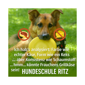 Unser Hund Pongo hält eine Frisbee im Maul. Sieht aus wie echter Käse, schmeckt wie Schaumstoff. Erinnert irgendwie an Frauchens Grillkäse.
